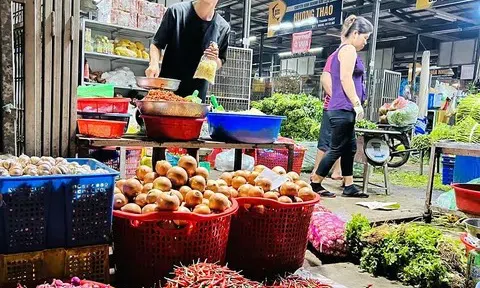 Ớt Việt tăng tốc xuất khẩu, trở thành trụ cột mới của ngành rau củ