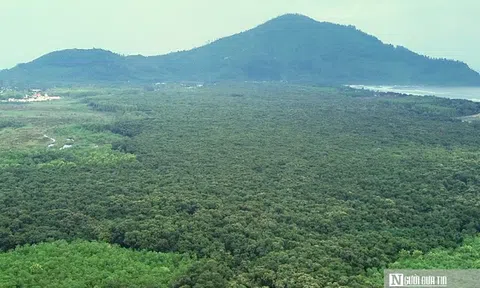 VIDEO: Ngắm "pháo đài xanh" trăm tuổi hiếm có giữa cồn cát ven biển Huế