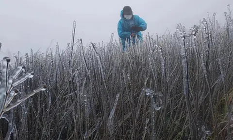 Dự báo thời tiết ngày 5/1: Đợt không khí lạnh khiến miền Bắc rét buốt kéo dài đến khi nào?