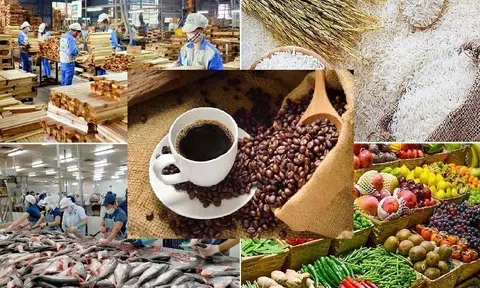 Kỷ lục 70 Tỷ USD Xuất khẩu nông sản 2025 và khát vọng "Căn bếp toàn cầu"