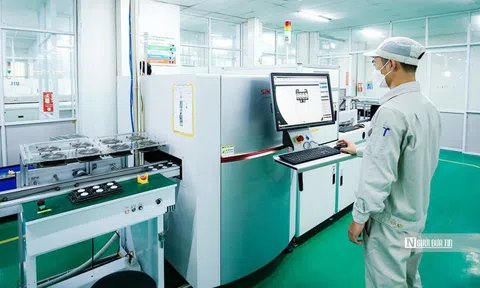 Năm 2025, doanh nghiệp gia nhập thị trường tăng mạnh, đạt gần 300.000 đơn vị