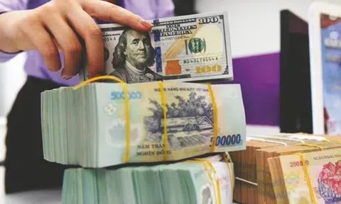 Áp lực lên tỷ giá USD/VND dự báo giảm dần trong năm 2026