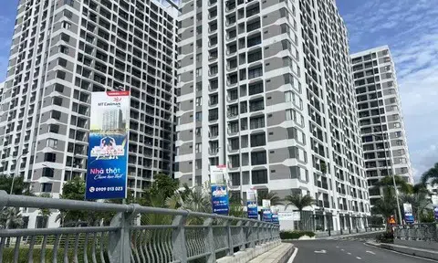 Nhìn lại BĐS năm 2025: Điểm mặt dự án bán thành công nhất, dự án quy mô lớn nhất và dự án có lượng “booking” ảo nhất