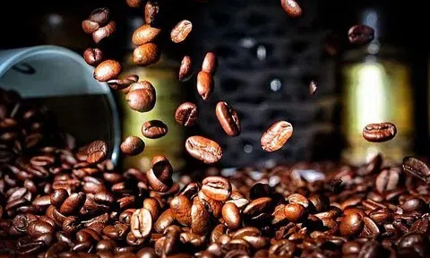 Giá cà phê hôm nay 14/1/2026: Robusta tiếp tục đi lên, arabica đảo chiều tăng trở lại