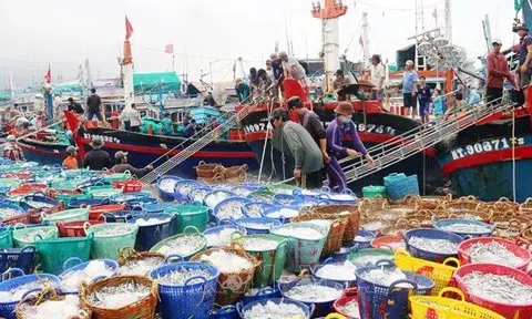 Thủy sản Việt Nam 2025: Vượt sóng thách thức, lần đầu chinh phục mốc hơn 11 tỷ USD