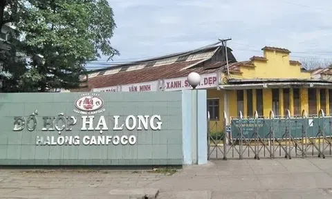 Đồ hộp Hạ Long đang kinh doanh ra sao?