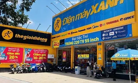 Điện Máy Xanh hoàn tất họp ĐHĐCĐ bất thường, "bắt tay" Vietcap chuẩn bị IPO