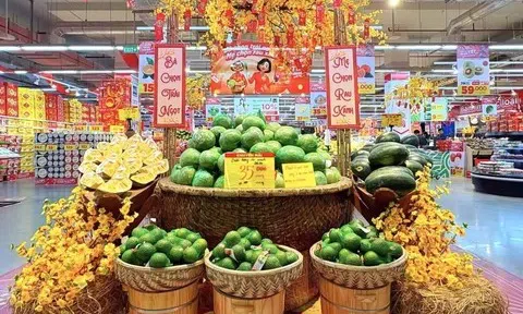 Nghệ An đảm bảo nguồn cung, bình ổn thị trường hàng hoá dịp Tết Nguyên đán 2026