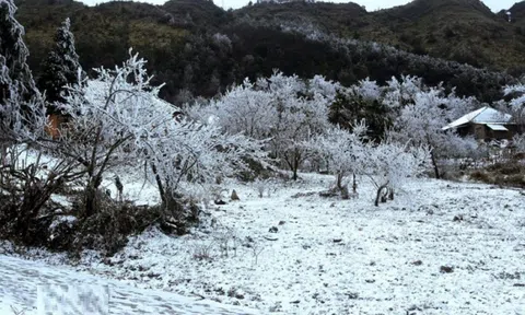 Miền Bắc tiếp tục rét đậm, nơi thấp nhất dưới 5 độ C