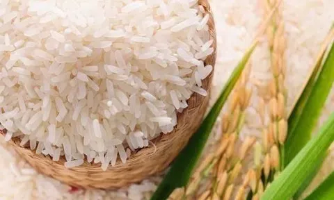 Gạo thơm và gạo chất lượng cao trở thành trụ cột trong xuất khẩu 2026