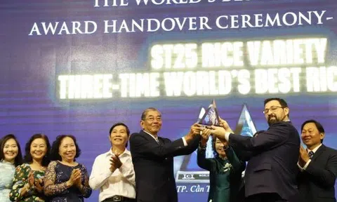 ST25 nhận Cúp gạo ngon nhất thế giới 2025, khẳng định vị thế gạo Việt