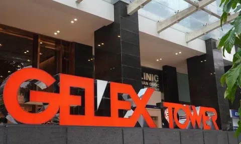 GELEX vượt 52% kế hoạch lợi nhuận năm 2025, quy mô tài sản và nợ vay cùng tăng mạnh