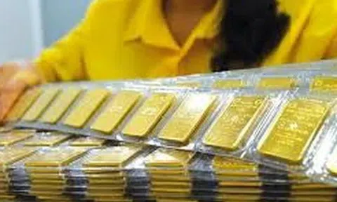 Khẩn trương nghiên cứu các giải pháp huy động ngoại tệ và vàng miếng trong dân