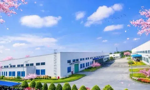 VSIP mở rộng đầu tư, hướng tới 30 khu công nghiệp tại Việt Nam vào năm 2026