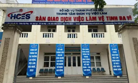 Sắp xếp lại hệ thống Sàn GDVL Hà Nội: Bước đi cần thiết để nâng cao hiệu quả kết nối thị trường lao động
