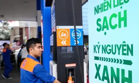 Giá xăng dầu hôm nay 12/2/2026: Cập nhật giá xăng dầu trong nước, quốc tế