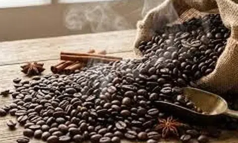 Giá cà phê hôm nay 27/2/2026: Thị trường quay đầu giảm, nông dân Việt Nam vẫn “găm hàng” chờ giá lên