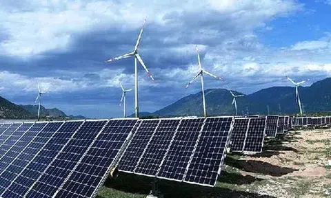 Trung Nam Group đề xuất khảo sát 18.600ha biển La Gi, mở rộng danh mục đầu tư điện gió ngoài khơi