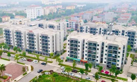 Cải cách thủ tục mua nhà ở xã hội: Tự khai thu nhập, siết kiểm tra sau