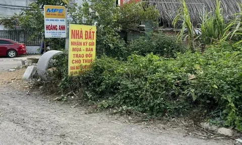 Sai lầm của người mua bất động sản: Dồn tiền trả nợ mua nhà, chỉ chi tiêu 6 triệu đồng mỗi tháng