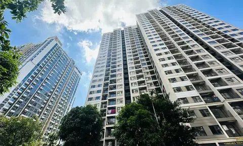 Chung cư tại Hà Nội được giao về cấp xã quản lý từ 23/2