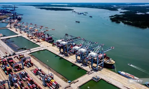 "Cú sốc 3 tầng" từ Trung Đông và bài toán thích ứng của doanh nghiệp Việt