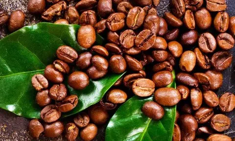 Giá cà phê hôm nay 5/3/2026: Thế giới tăng trở lại do các nhà sản xuất giảm tốc độ bán ra