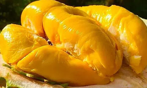 Giá sầu riêng hôm nay 6/3/2026: Sầu riêng Ri6 xuống giá nhẹ