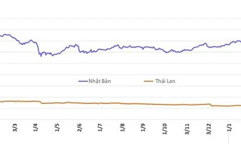 Giá cao su hôm nay 5/3/2026: Thị trường phân hóa do tác động dầu thô và cước vận tải