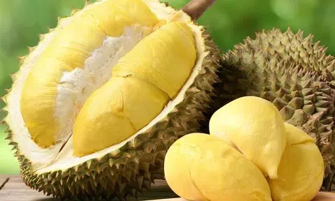 Giá sầu riêng hôm nay 8/3/2026: Sầu riêng Ri6 bật tăng, hàng Thái VIP neo giá kỷ lục