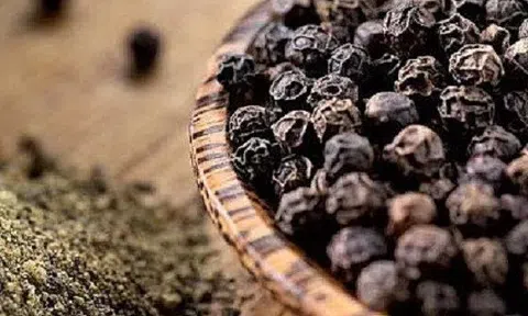 Giá tiêu hôm nay 10/3/2026: Thị trường ổn định