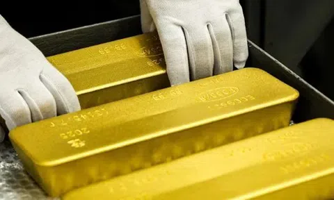 Giá vàng hôm nay 10/3/2026: Đồng loạt giảm mạnh