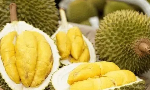 Giá sầu riêng hôm nay 10/3/2026: Neo cao