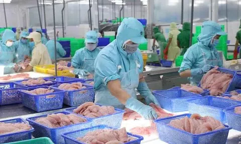 Thủy sản Việt Nam tìm hướng đi mới khi thị trường toàn cầu biến động