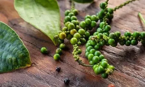 Giá tiêu hôm nay 12/3/2026: Thị trường trong nước và xuất khẩu giảm nhẹ