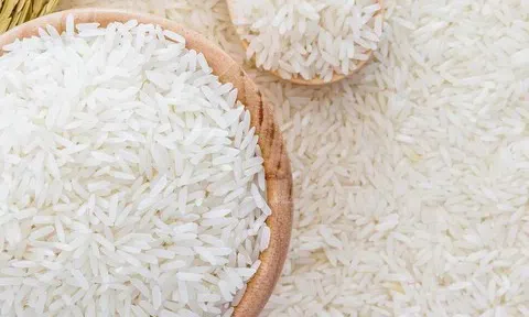 Giá lúa gạo hôm nay 19/3/2026: Thị trường chịu áp lực giảm giá, xuất khẩu về đáy