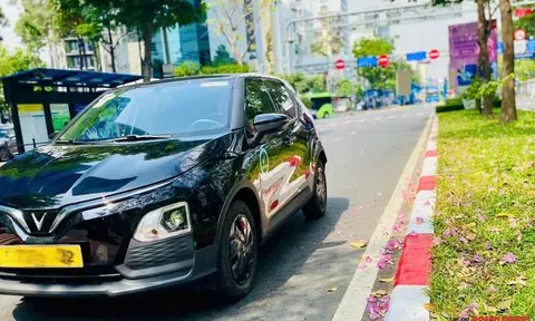 Áp lực giá xăng, tín dụng xanh bùng nổ: Cơ hội cho thị trường xe điện và ngân hàng