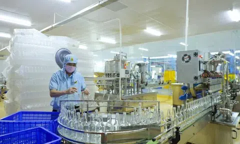 Thúc đẩy làn sóng AI: 300.000 doanh nghiệp nhỏ và vừa được “tiếp sức” chuyển đổi số