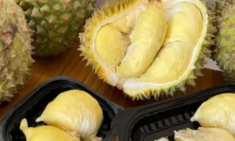 Giá sầu riêng hôm nay 23/3: Tăng mạnh cuối vụ do nguồn cung suy giảm