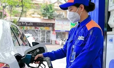 Giá xăng dầu hôm nay 23/3/2026: Cập nhật giá xăng dầu trong nước, quốc tế