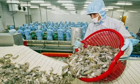 Xuất khẩu thủy sản 2 tháng đầu năm 2026 đạt 1,7 tỷ USD, tăng 20%