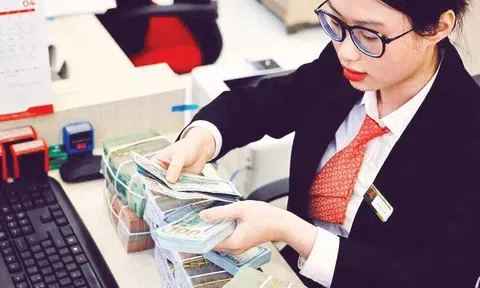 Nới lỏng quản lý ngoại hối, tạo đòn bẩy cho doanh nghiệp đầu tư ra nước ngoài