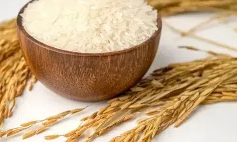 Giá lúa gạo hôm nay 28/3/2026: Thị trường ổn định, xuất khẩu gặp khó