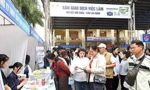 Chậm nhất đến 30/4/2026, sẽ khai trương Sàn giao dịch việc làm quốc gia