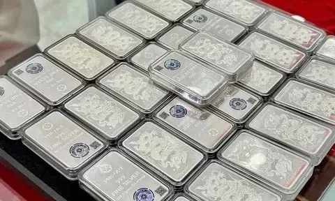 Giá bạc hôm nay 30/3/2026: Giá bạc trong nước và thế giới điều chỉnh