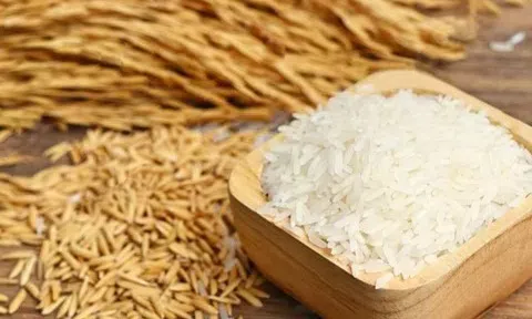 Giá lúa gạo hôm nay 30/3/2026: Thị trường bình ổn, giao dịch chậm