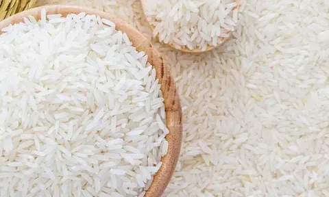 Giá lúa gạo hôm nay 1/4/2026: Biến động giá lúa, gạo đi ngang