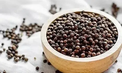 Giá tiêu hôm nay 31/3/2026: Thị trường ổn định, xu hướng phục hồi