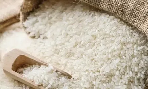 Giá lúa gạo hôm nay 3/4: Giá lúa tươi có xu hướng tăng