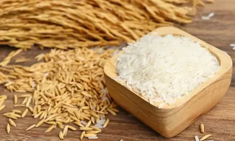 Giá lúa gạo hôm nay 4/4: Giá lúa gạo ổn định